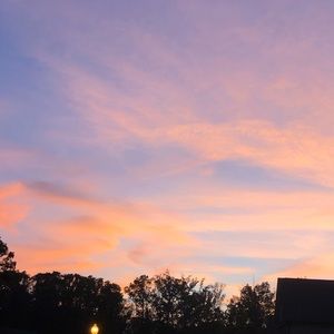 Meet your Posher, Laney